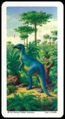 22 Camptosaurus